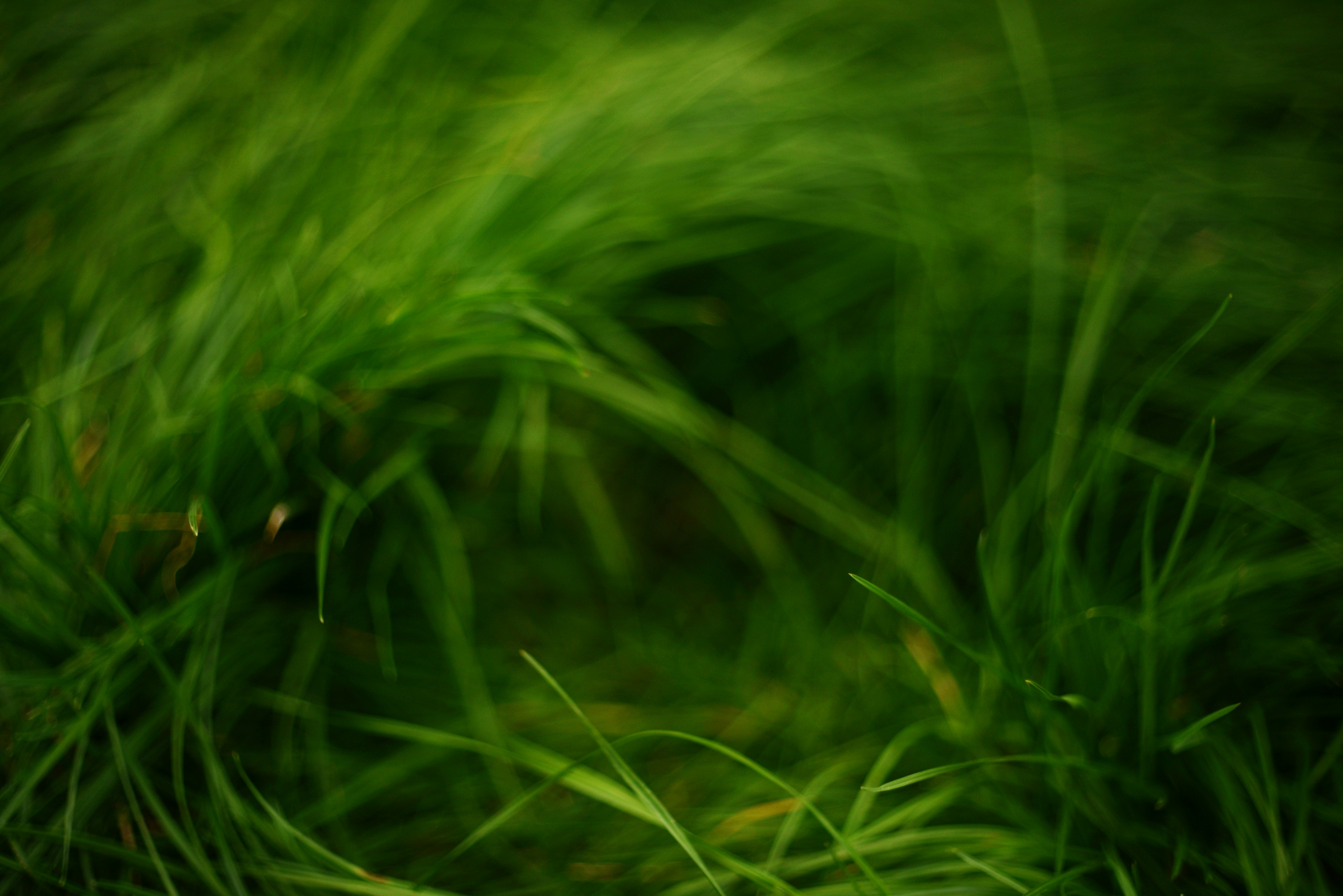 Realtidsuppdatering av produktinformation case study